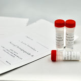 ACETYL HEXAPEPTIDE-8